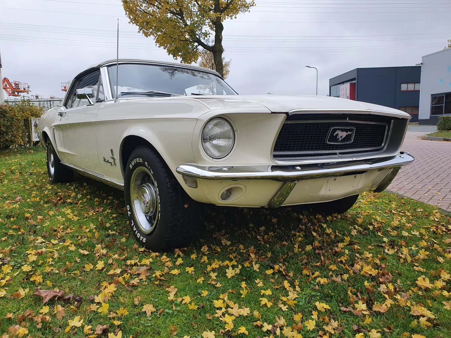 Heideveld Classics - Ford Mustang Convertible 1968