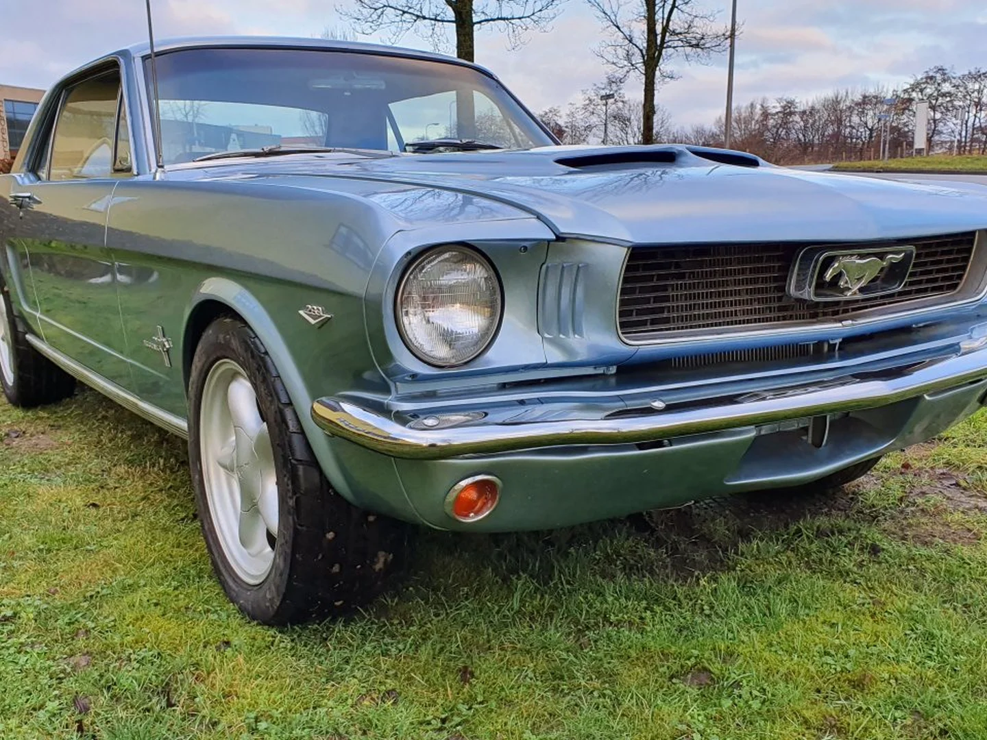 Heideveld Classics - Ford Mustang Coupe 1966